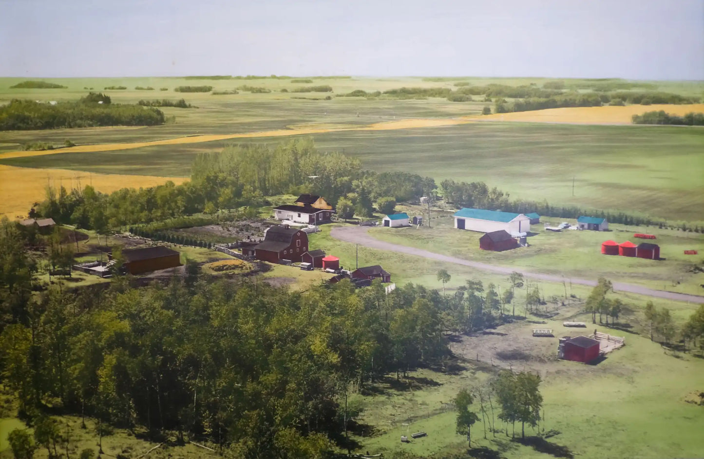 Kyler Zeleny - Bury Me in the Back Forty / SIGNED