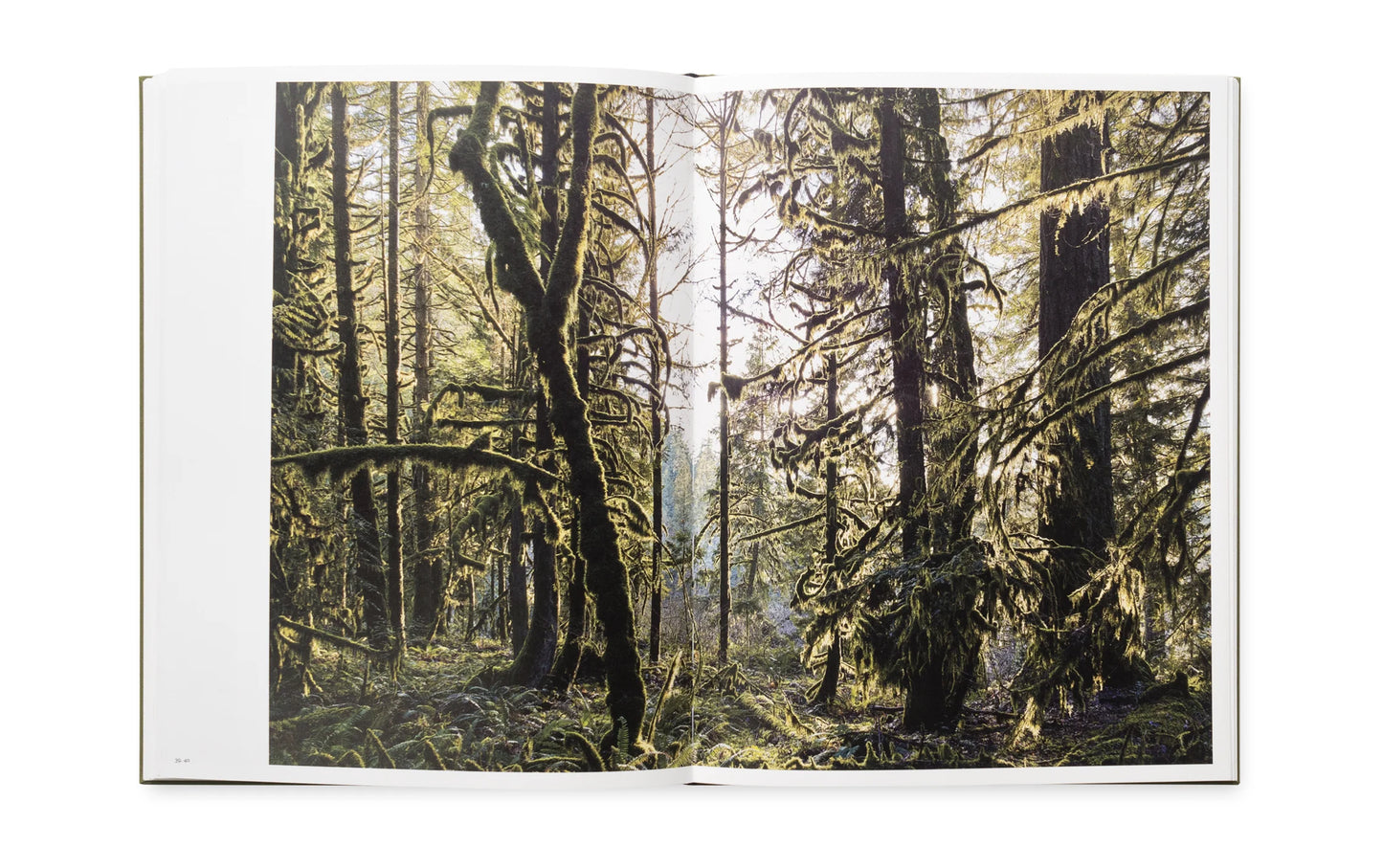 Mark Power - Good Morning, America (Volume IV)