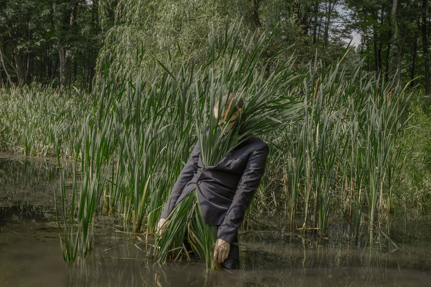 Ben Zank - Nothing to See Here