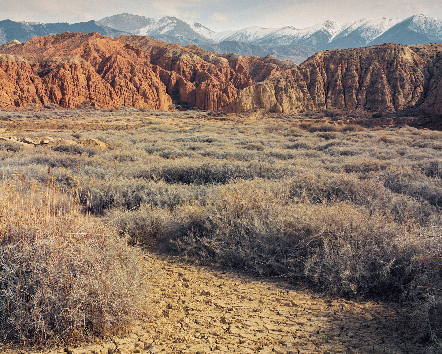 Luke Oppenheimer - Ottuk (MAY 2026 RELEASE)